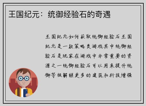 王国纪元：统御经验石的奇遇